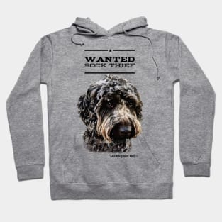 Cockapoo / Doodle Dog Sock Thief Hoodie